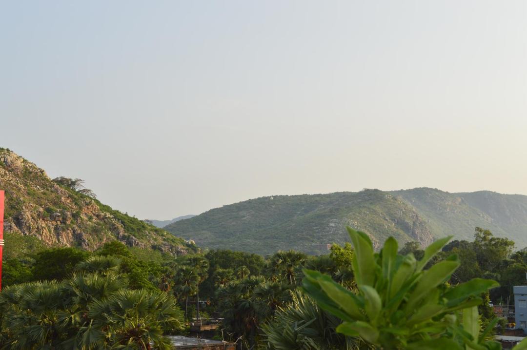 Photo of Others in Rajgir