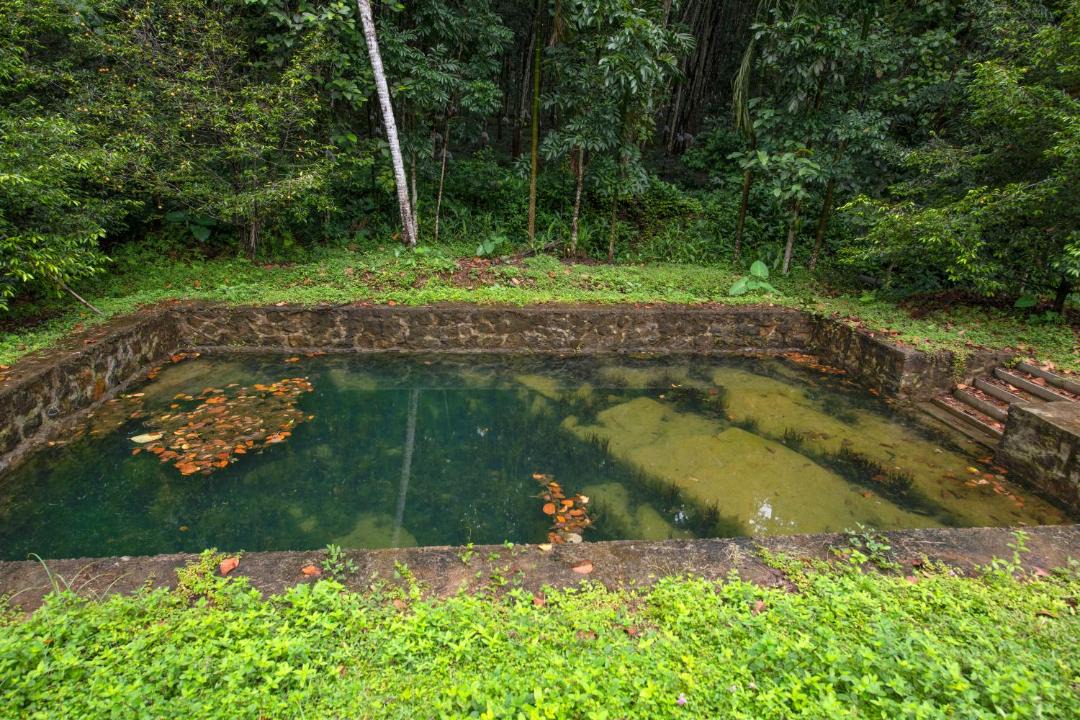 Photo of Others in Kanjirappally