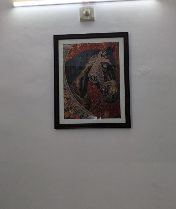 Photo of Others in Udaipur City Centre