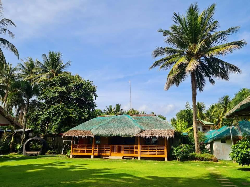 Photo of Others in Quezon