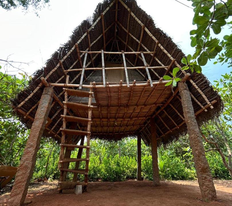 Photo of Others in Auroville