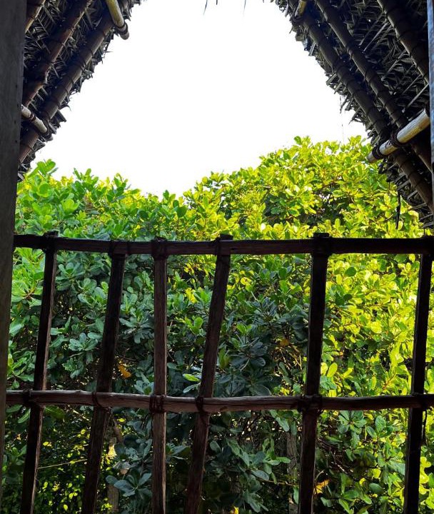 Photo of Others in Auroville