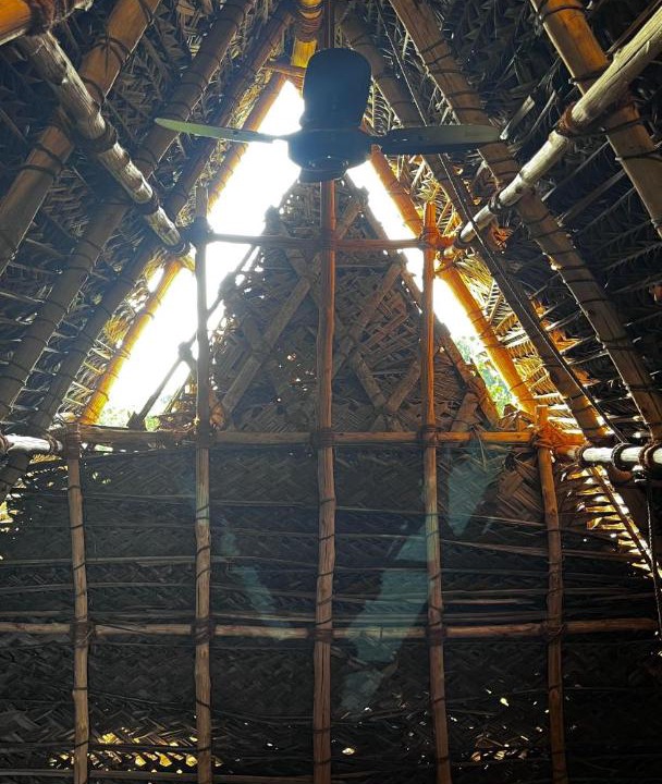 Photo of Others in Auroville