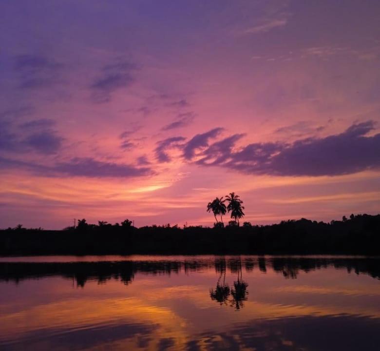 Photo of Others in Pernem