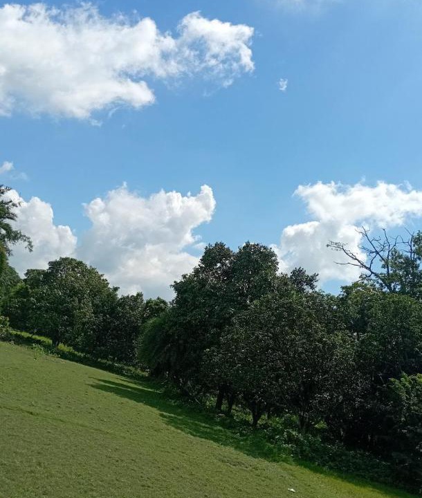 Photo of Outdoor in Madhubani
