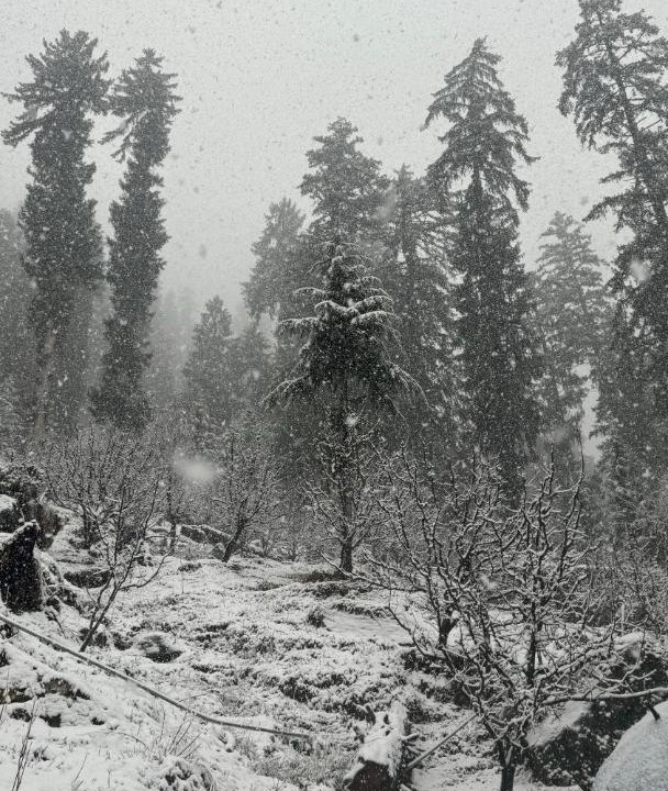 Photo of Others in Khattalwada