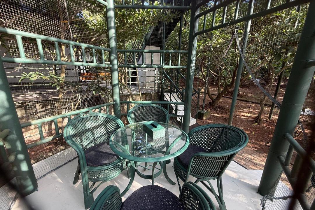 Photo of Patio Balcony in Kollam