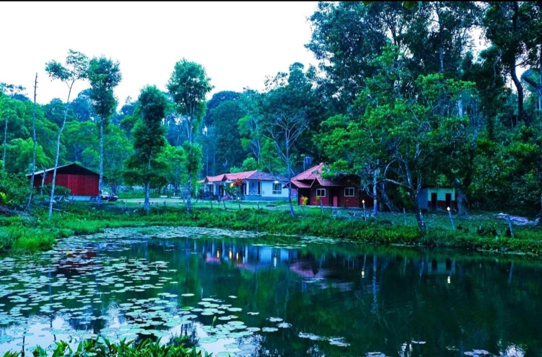 Photo of Others in Madikeri