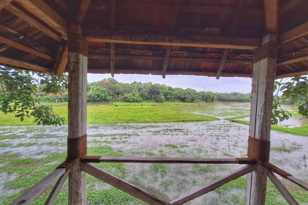 Photo of Others in Chirayinkil