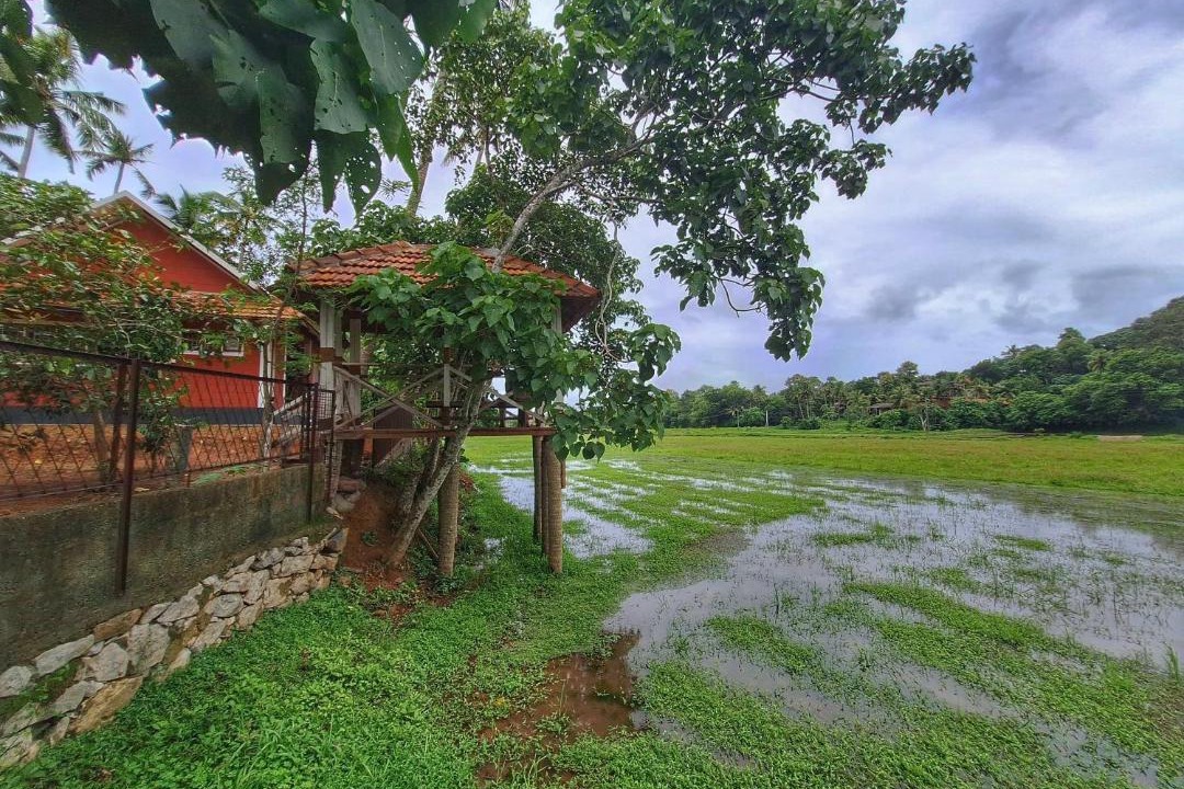 Photo of Others in Chirayinkil
