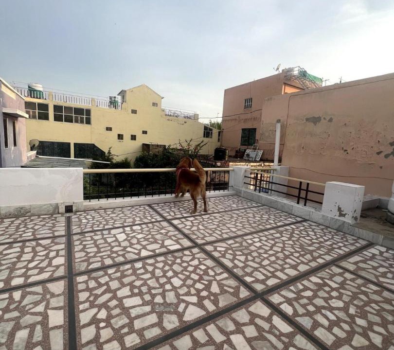 Photo of Others in Pilani