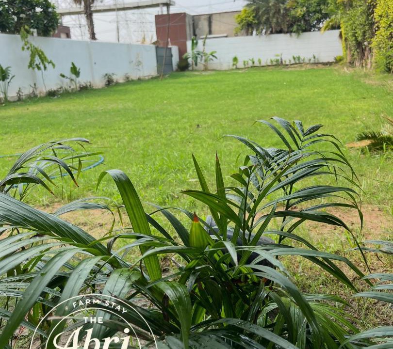 Photo of Outdoor in Khattalwada