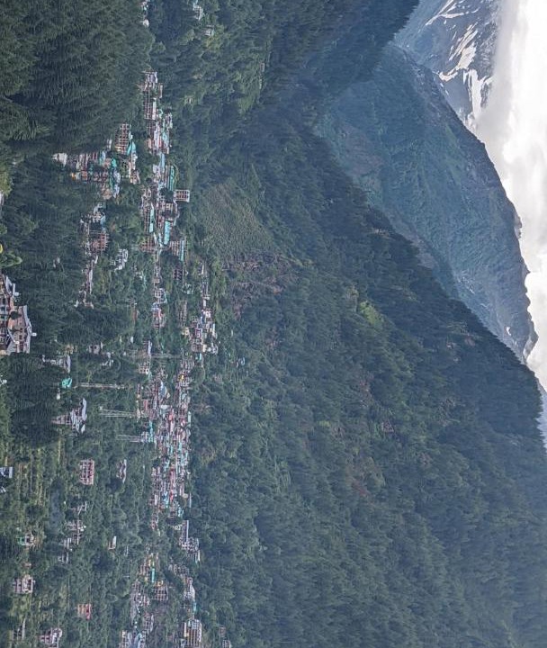 Photo of Others in Palchan