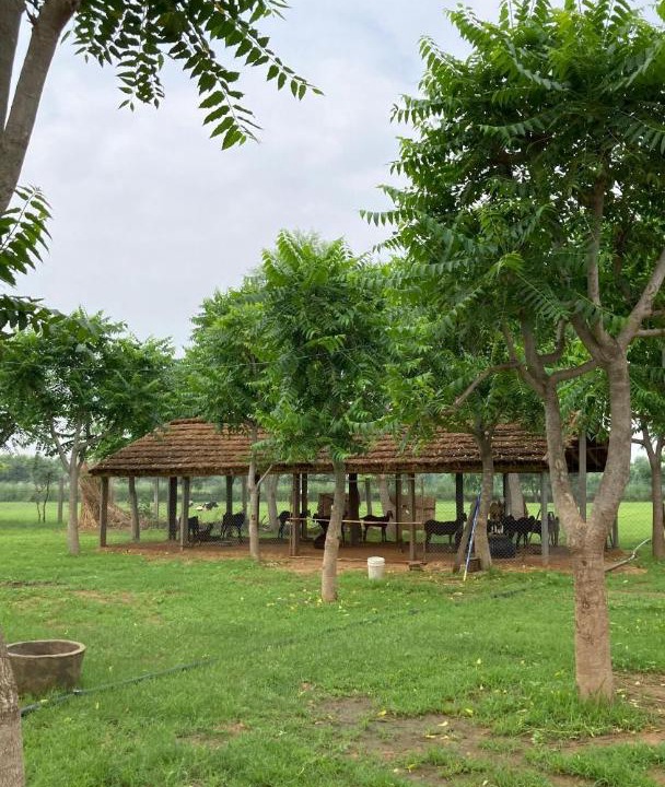 Photo of Others in Nawa