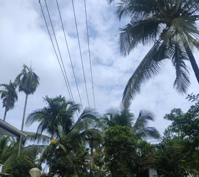 Photo of Others in Kalpetta