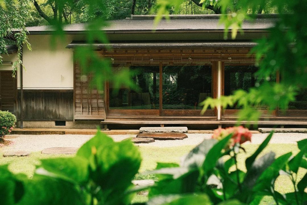 Photo of Others in Izumi