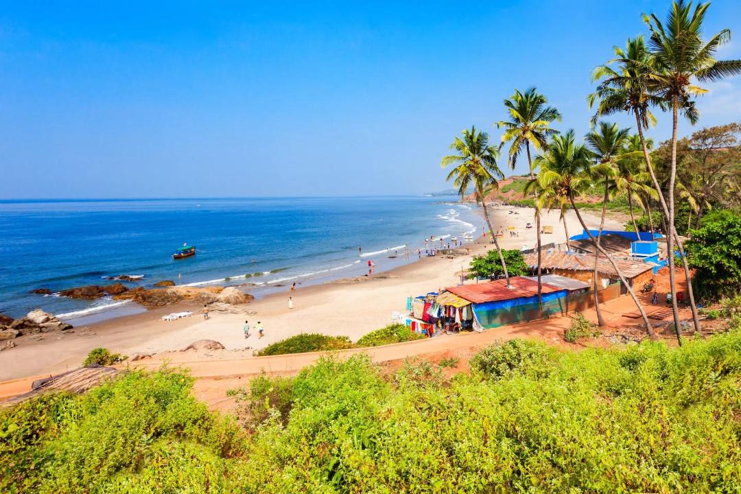 Photo of Others in Calangute