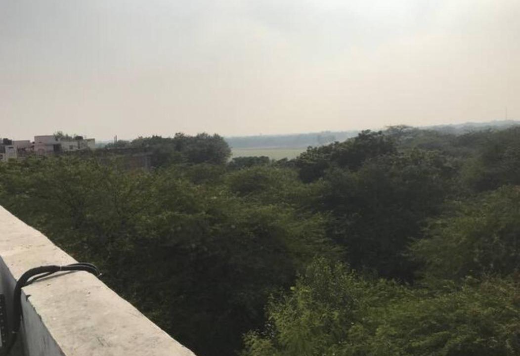 Photo of Others in New Delhi