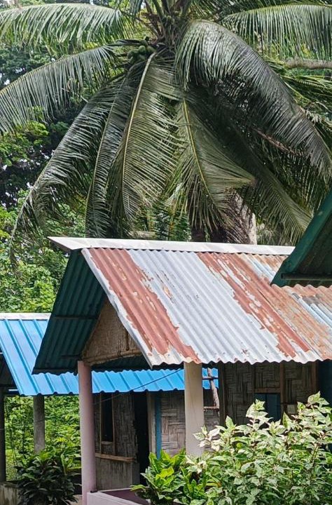 Photo of Others in Neil Island