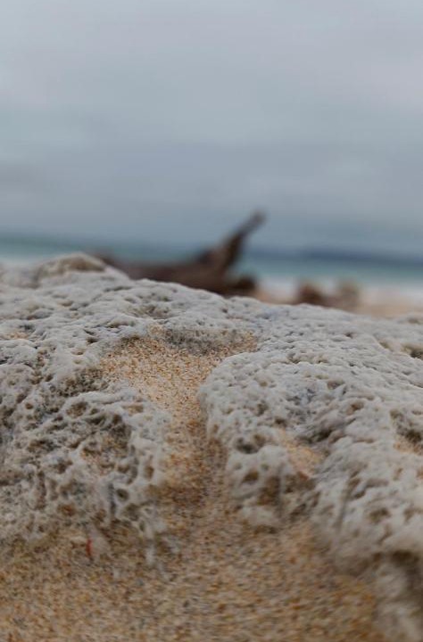 Photo of Human In Picture in Neil Island