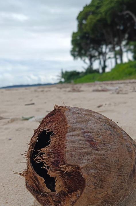 Photo of Human In Picture in Neil Island