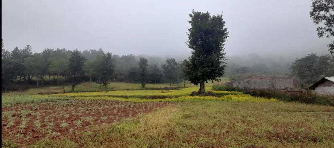 Photo of Others in Paderu