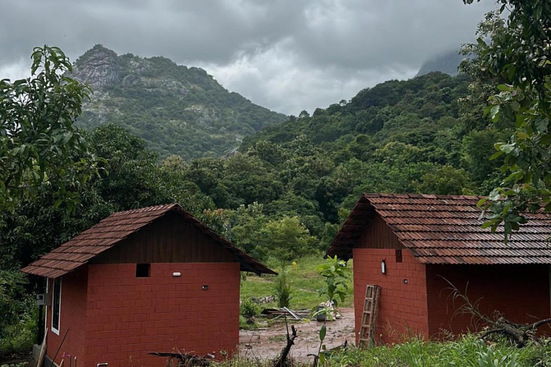 Photo of Buildings in Chittur