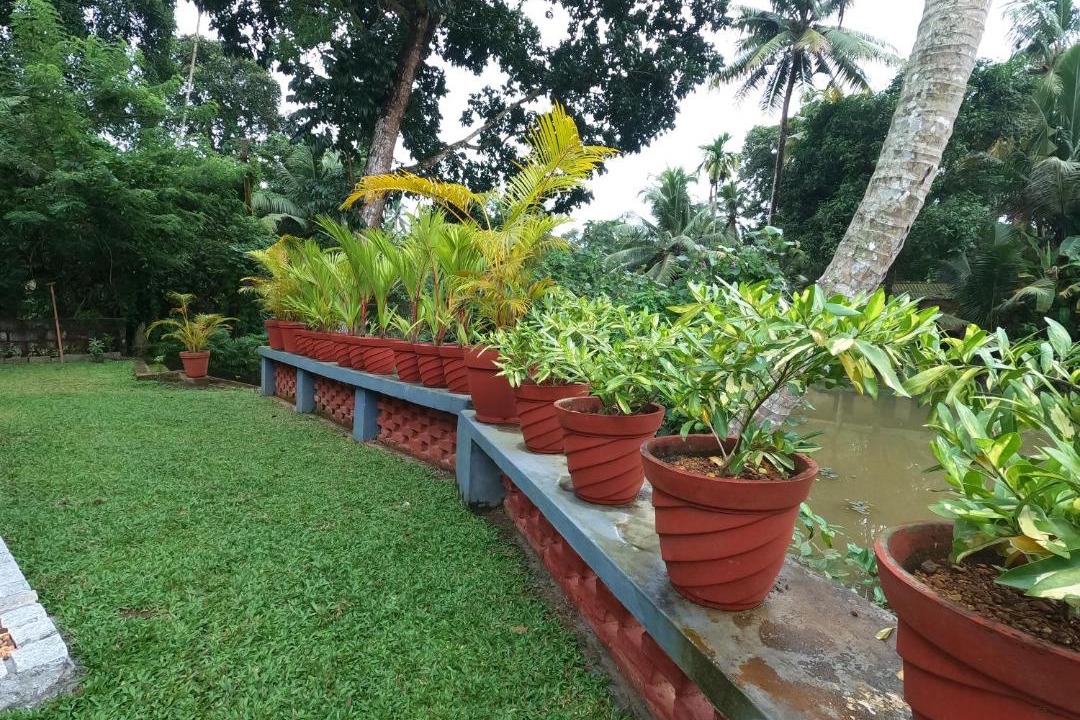 Photo of Others in Kumarakom