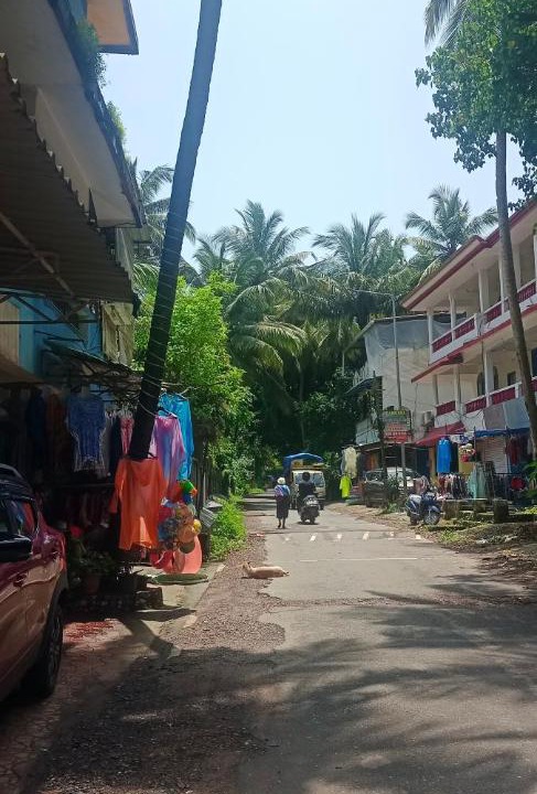 Photo of Others in Majorda