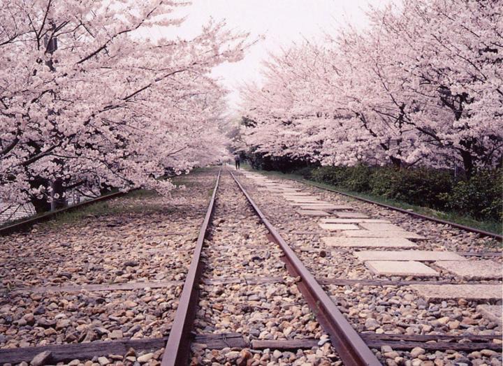 Photo of Others in Yamashina