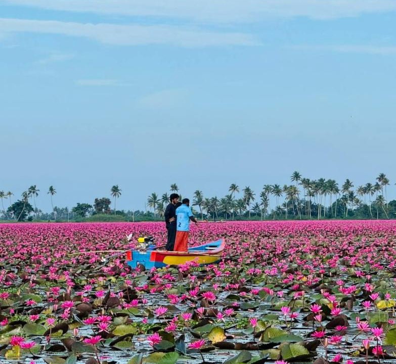 Photo of Others in Kumarakom