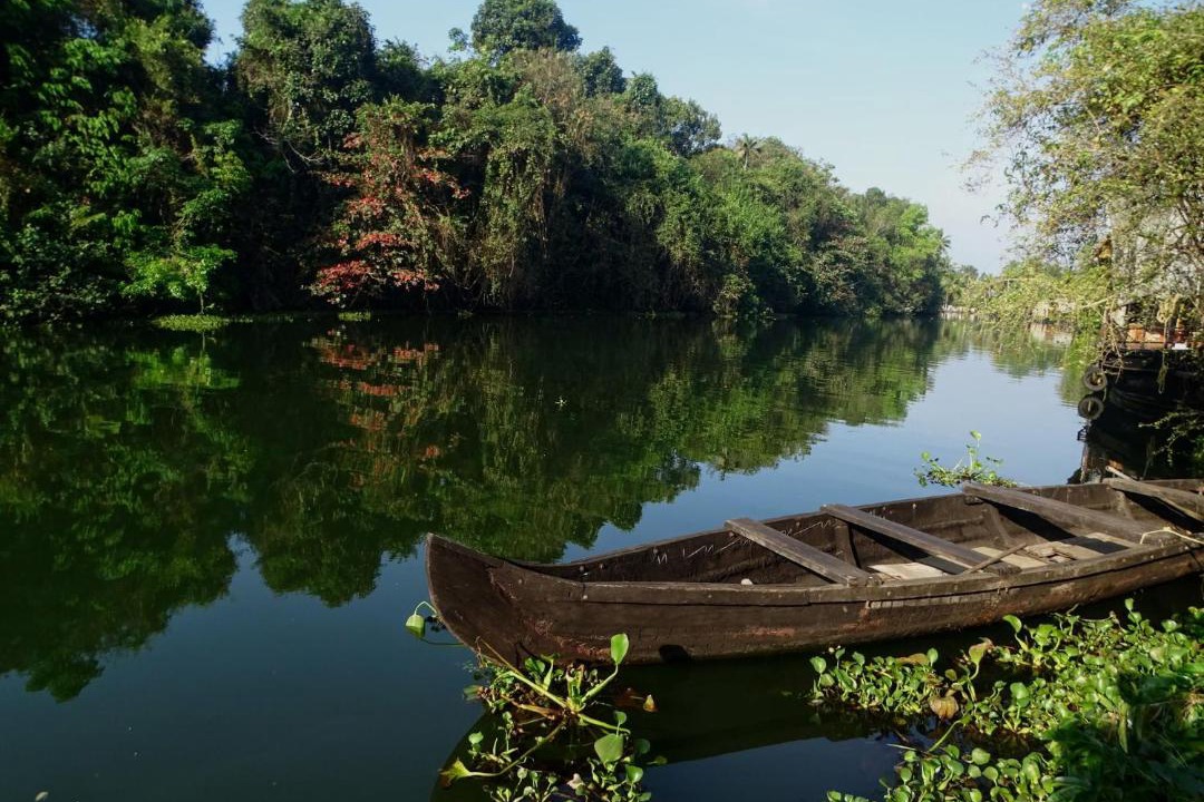 Photo of Others in Kumarakom