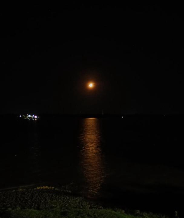 Photo of Others in Haldia