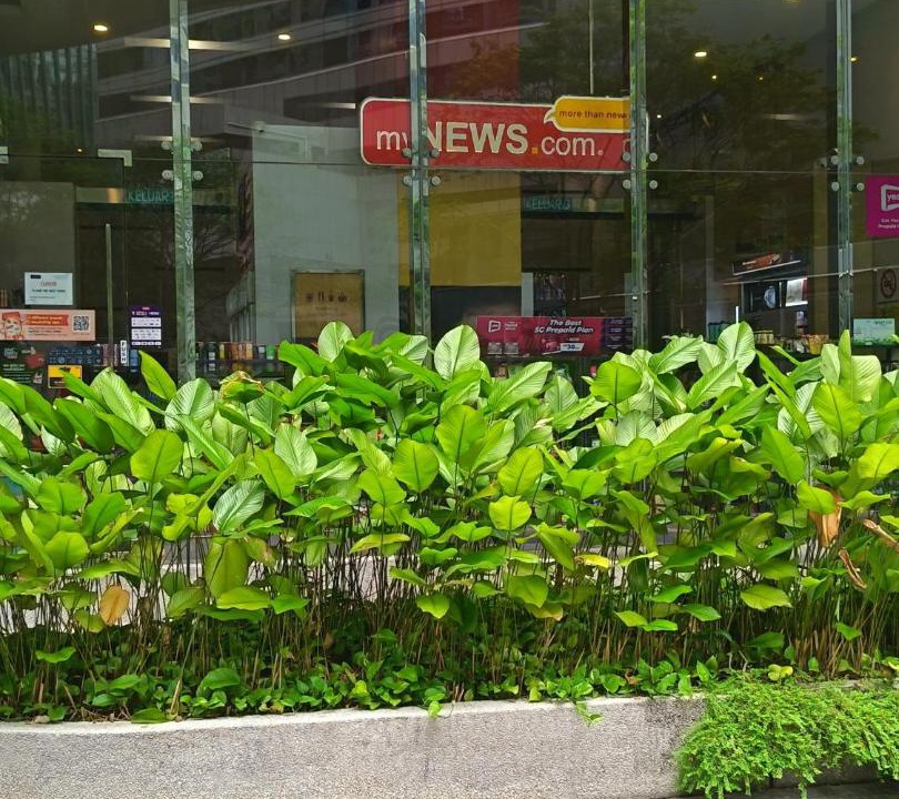 Photo of Others in Kuala Lumpur City Centre