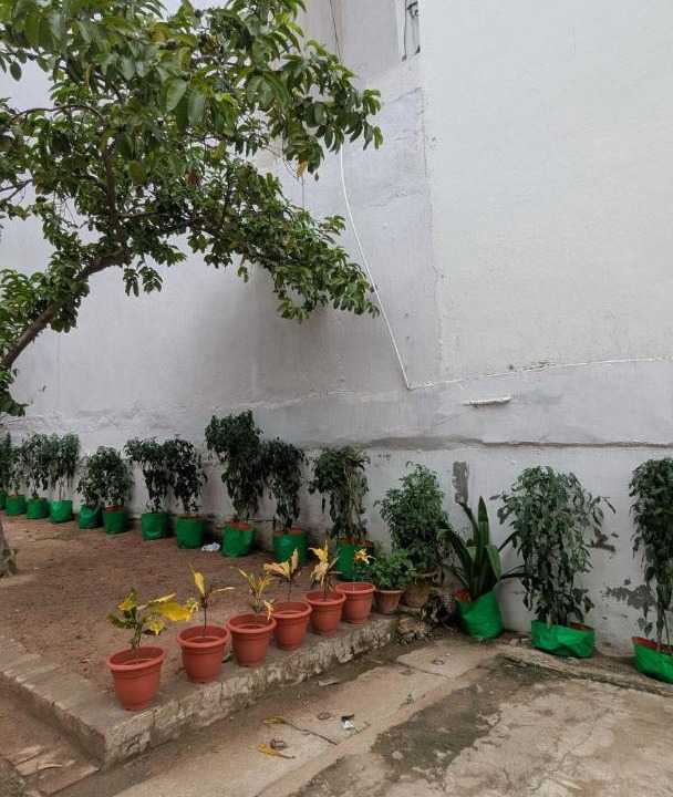 Photo of Others in Darbhanga