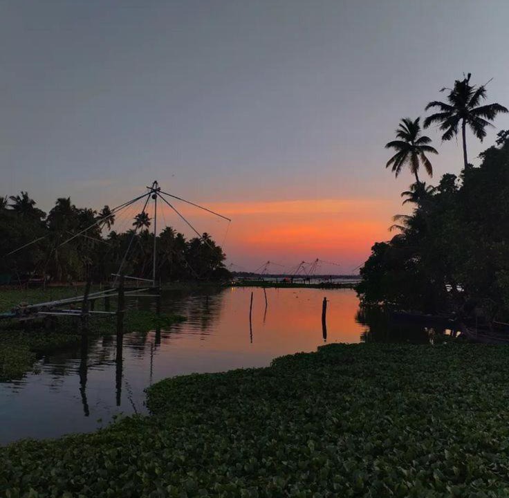 Photo of Others in Kumbalangi