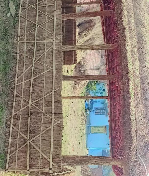 Photo of Others in Maharajganj