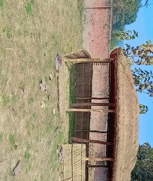 Photo of Others in Maharajganj