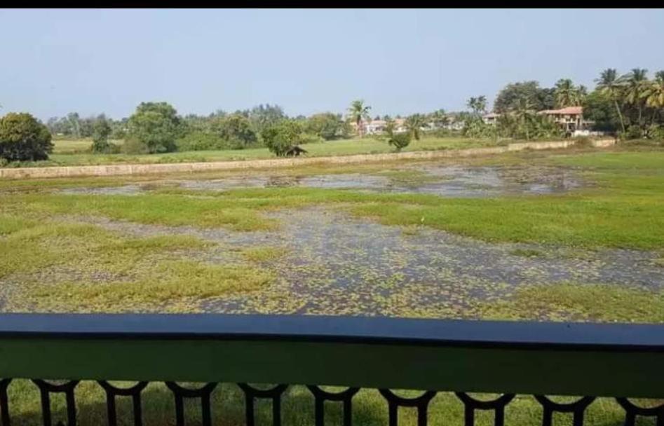 Photo of Others in Benaulim