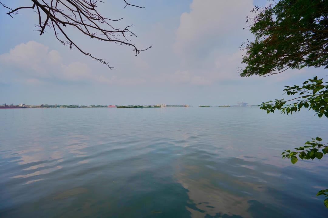 Photo of Others in Kochi
