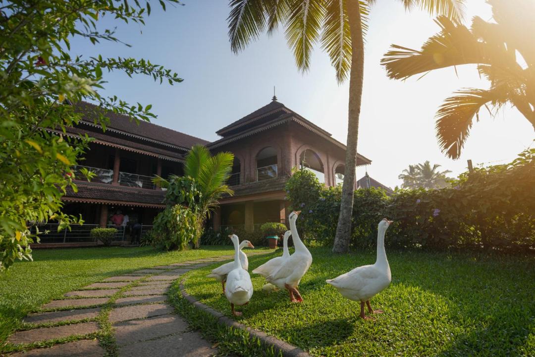 Photo of Others in Kumarakom