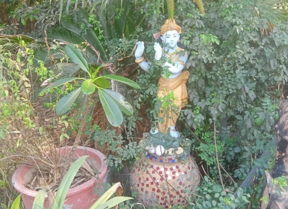 Photo of Others in Gandhinagar