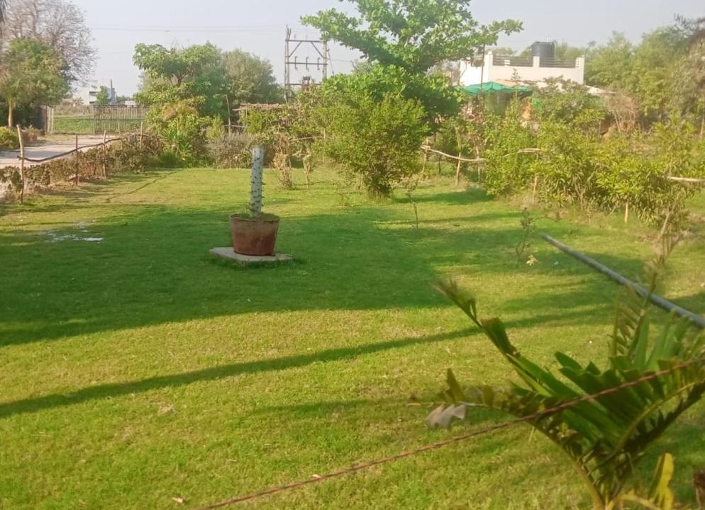 Photo of Others in Gandhinagar