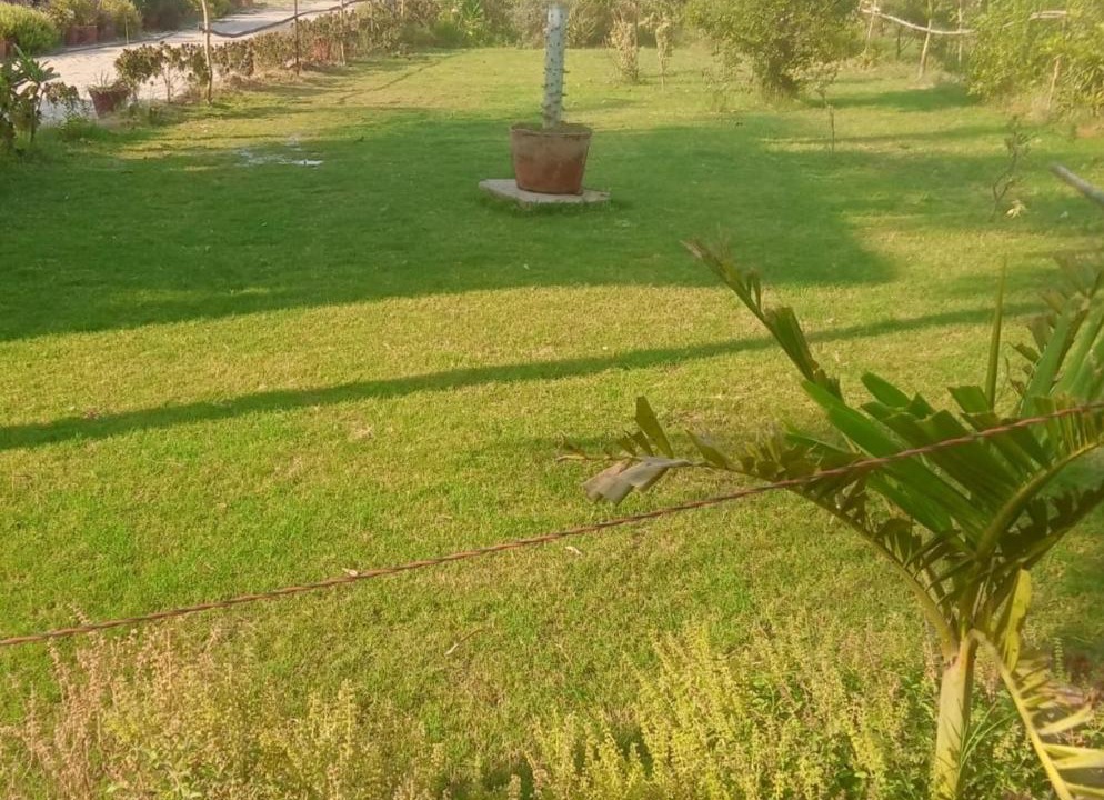 Photo of Others in Gandhinagar