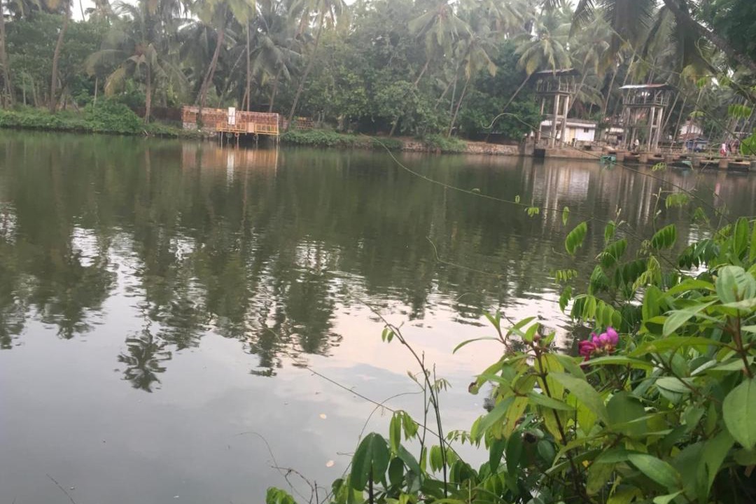 Photo of Others in Kozhikode