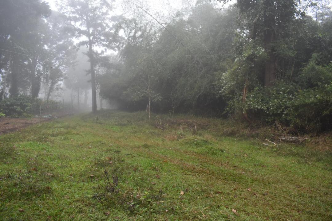 Photo of Others in Sulthan Bathery