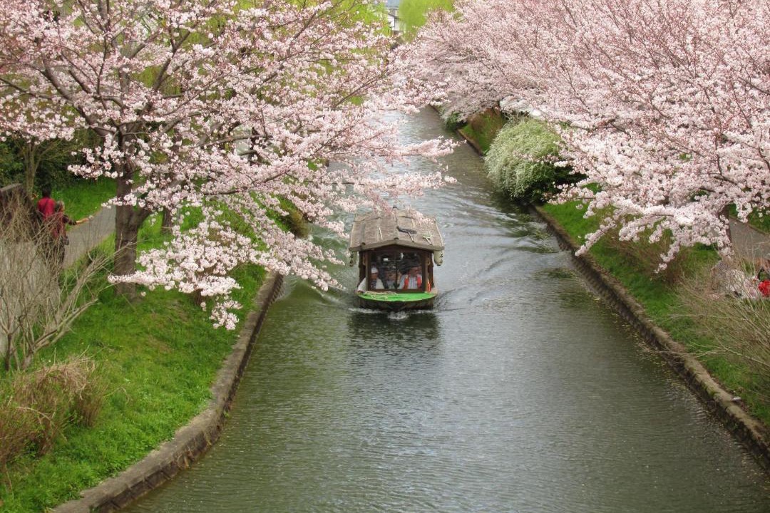 Photo of Others in Fushimi
