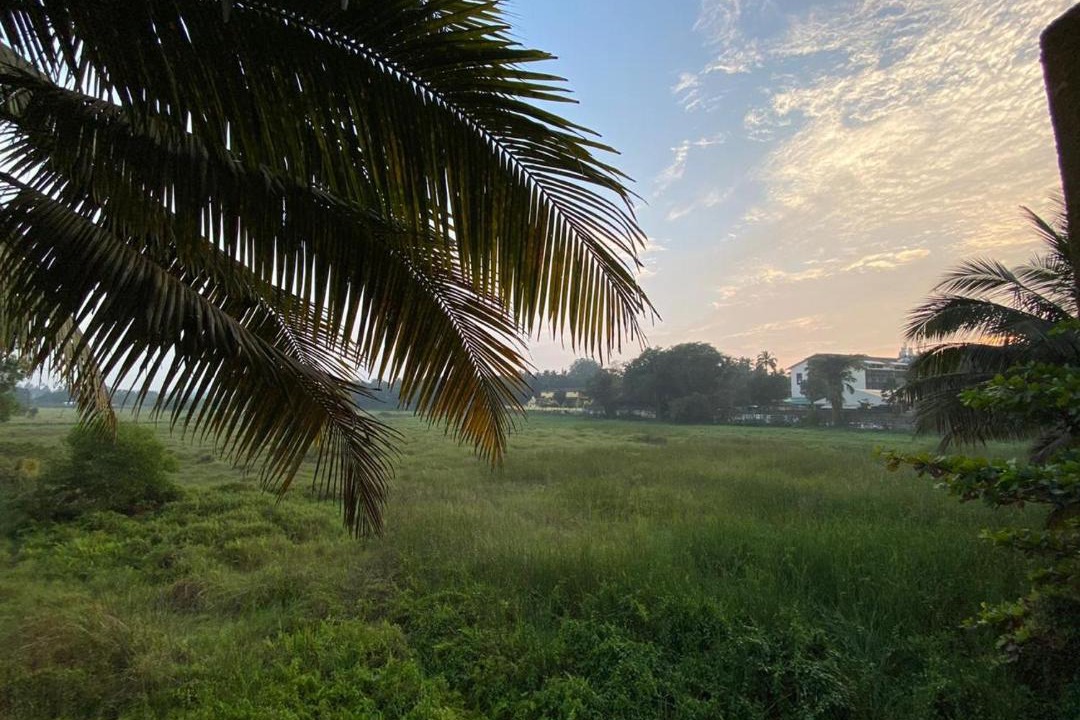 Photo of Others in Sainagar