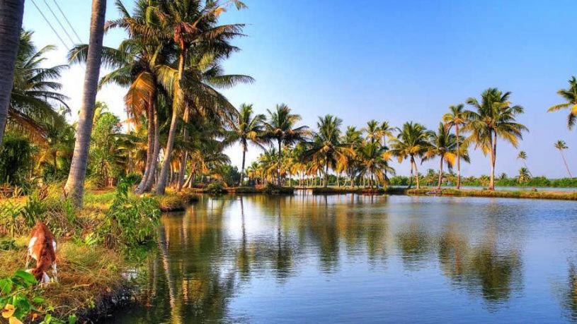 Photo of Others in Kumbalangi