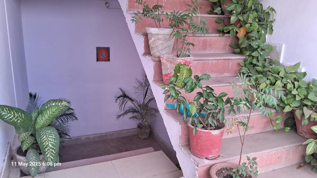 Photo of Patio Balcony in Bhopal